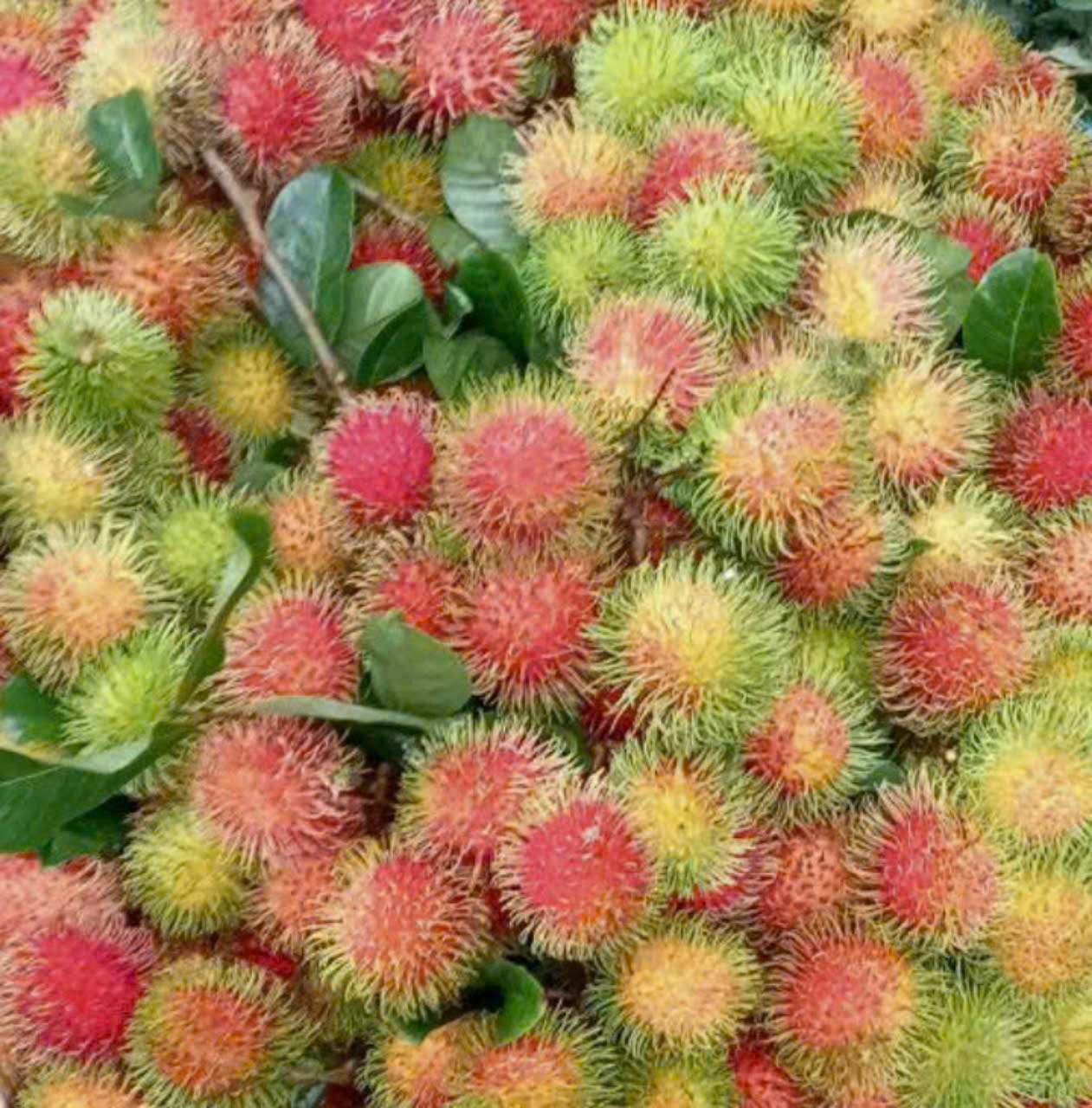 htxvinhbinh.vn