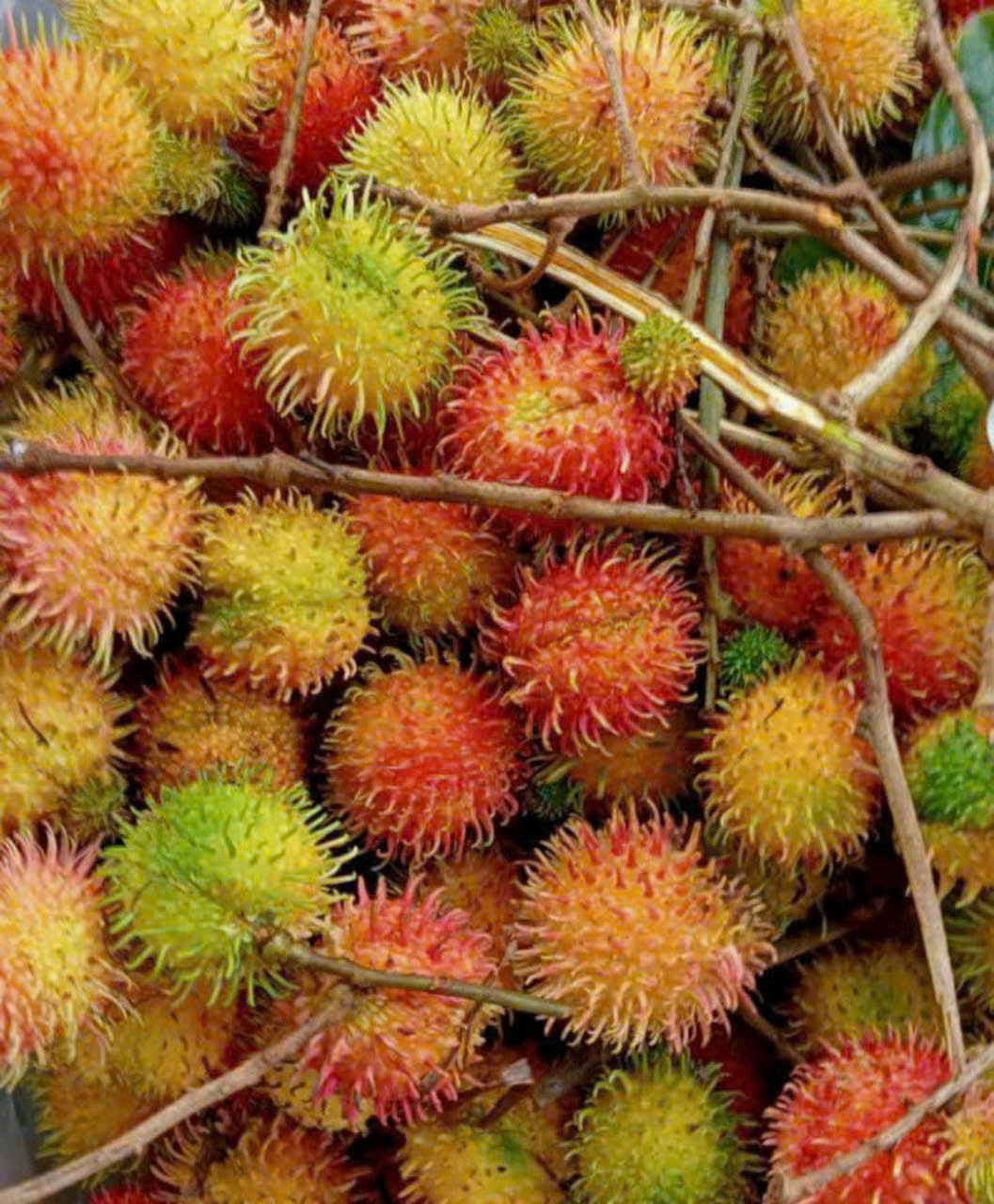 htxvinhbinh.vn