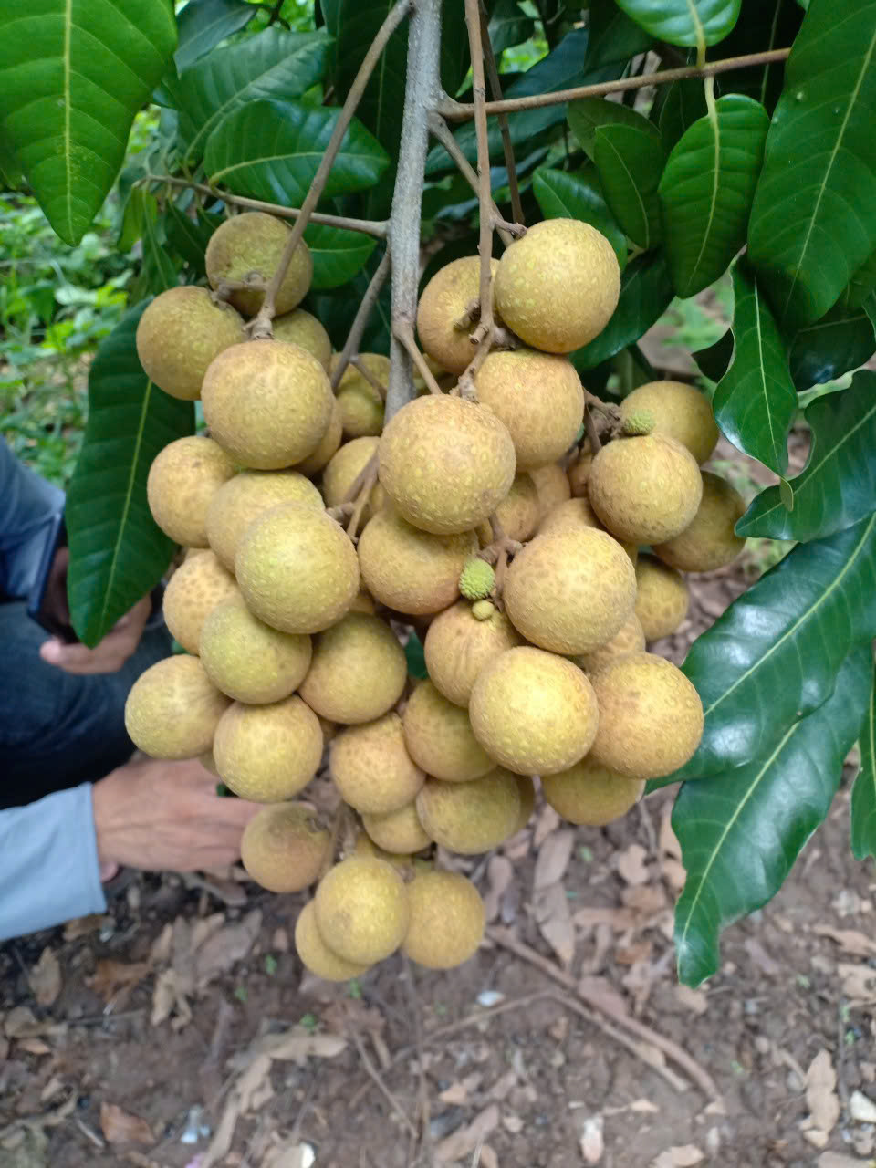 htxvinhbinh.vn