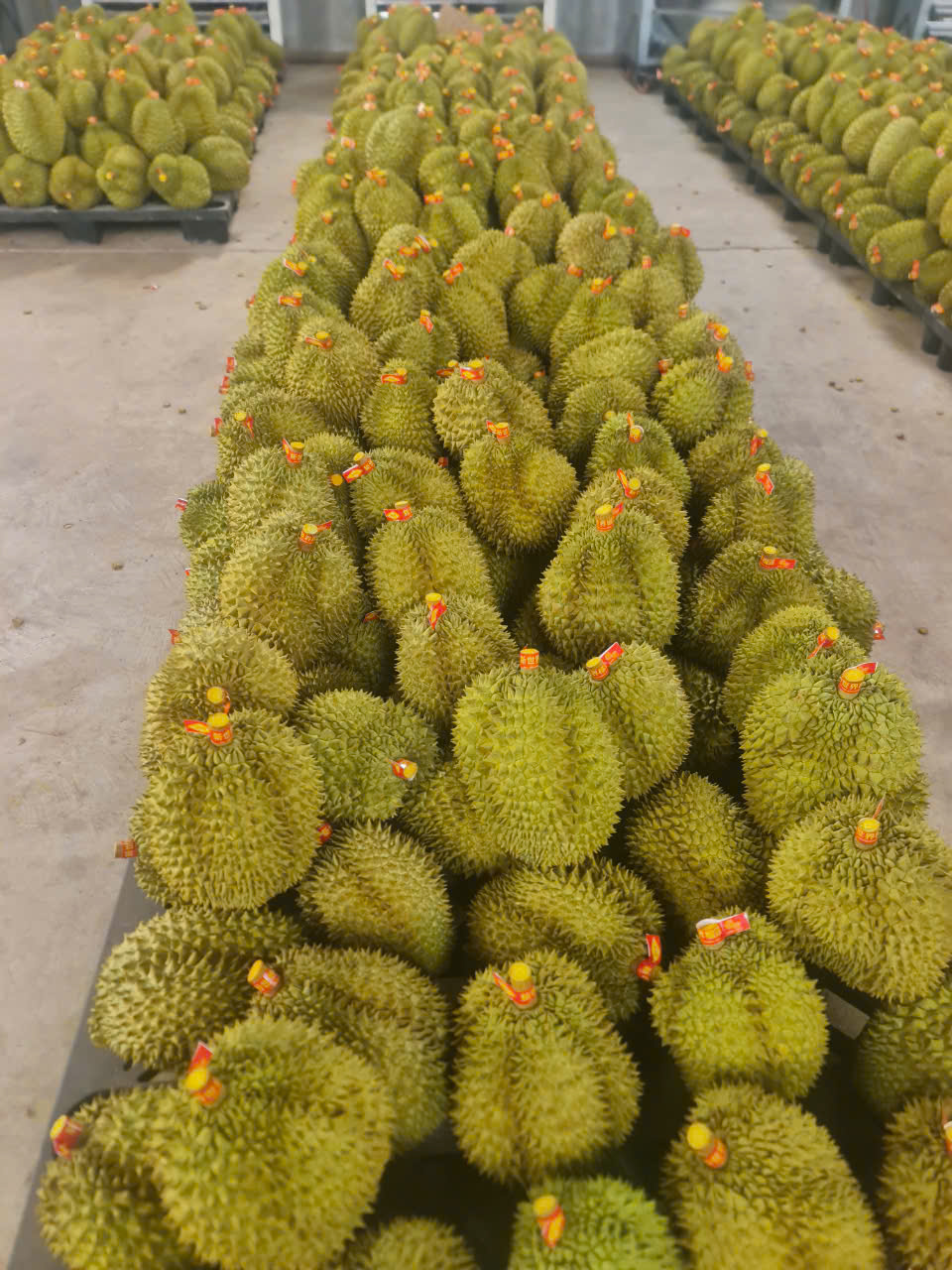 htxvinhbinh.vn
