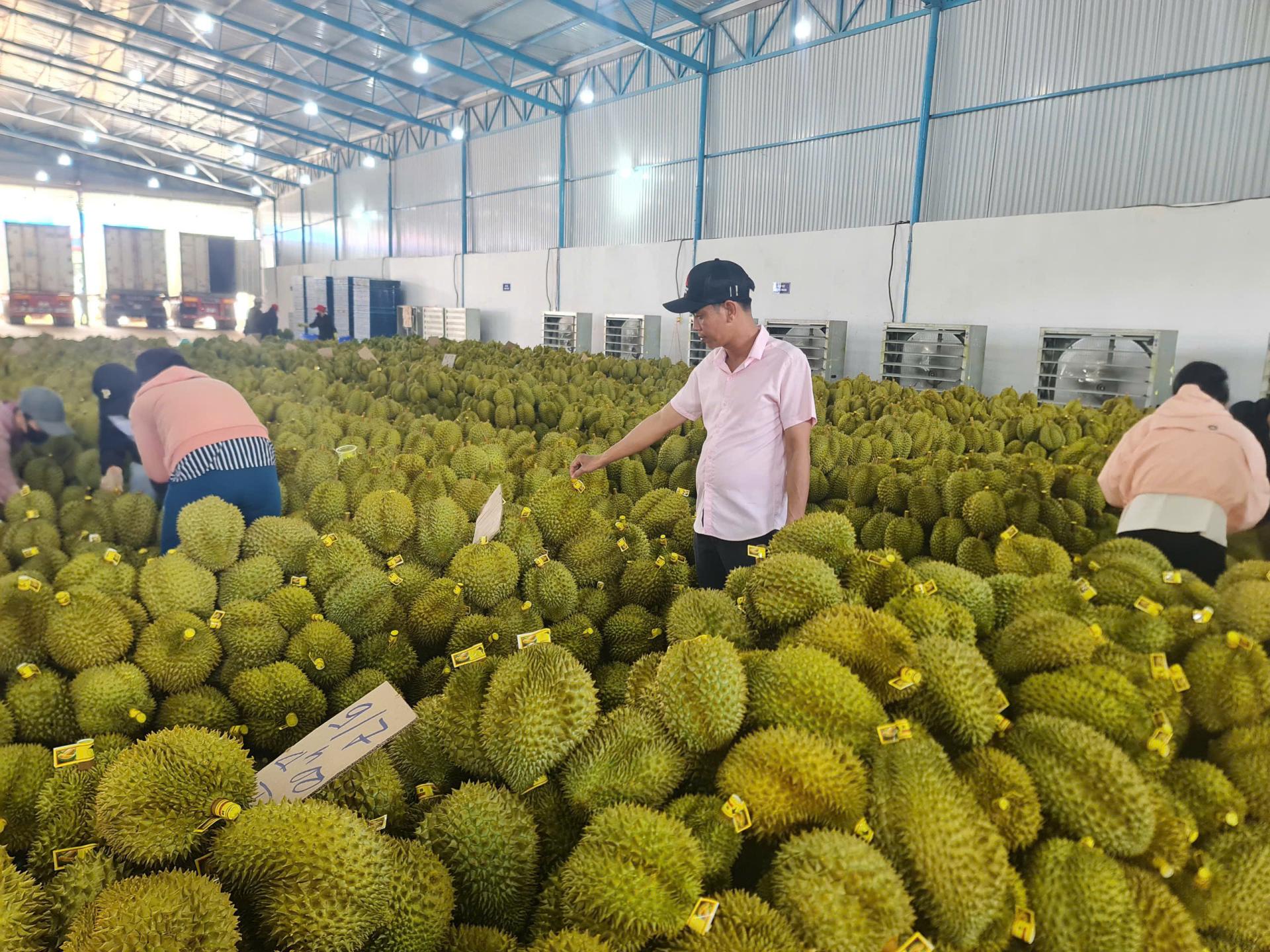 htxvinhbinh.vn